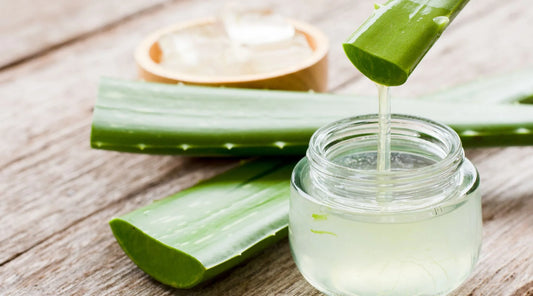 Skin Hydration Treatment - The Secret World of Aloe Vera Gel