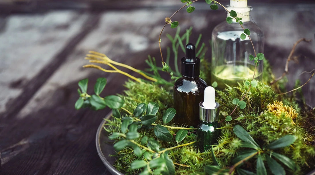 Herbal Skincare: Unlocking Nature’s Secrets for Healthy Skin