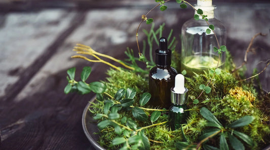 Herbal Skincare: Unlocking Nature’s Secrets for Healthy Skin